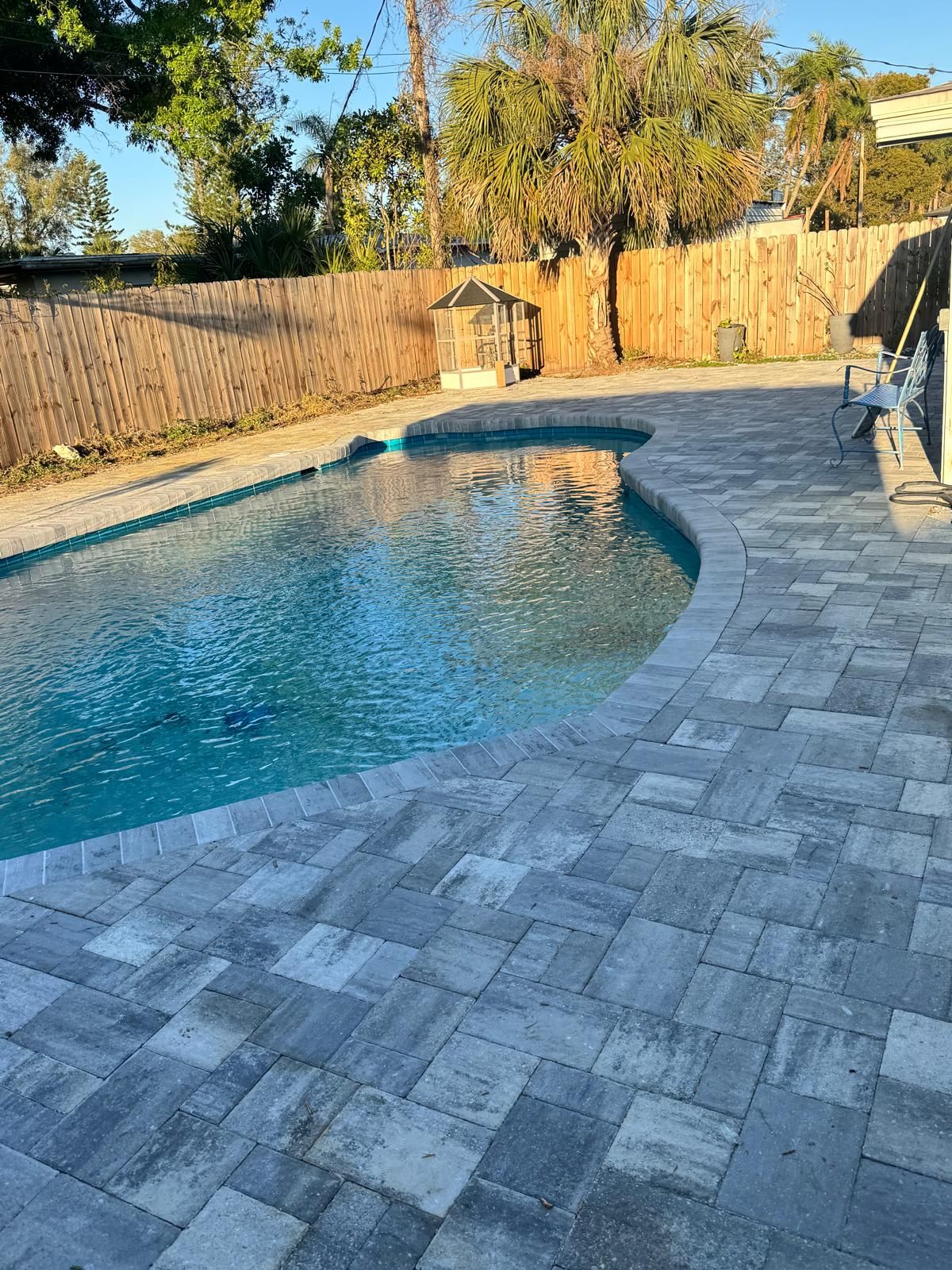 Kidney-shaped pool with a gray paver deck and paver coping in a backyard with a wood fence and palms