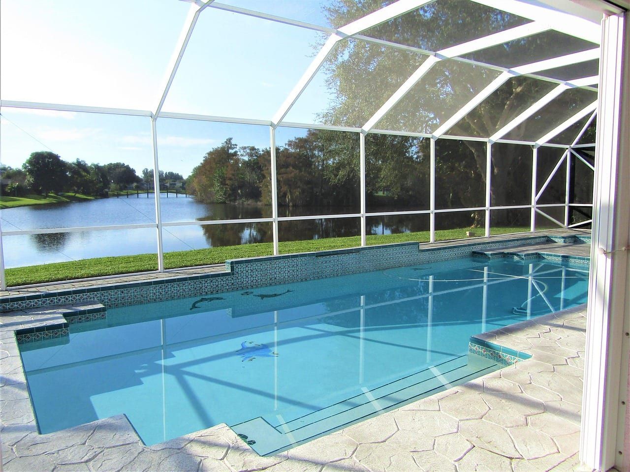 The finished pool inside the rescreened enclosure